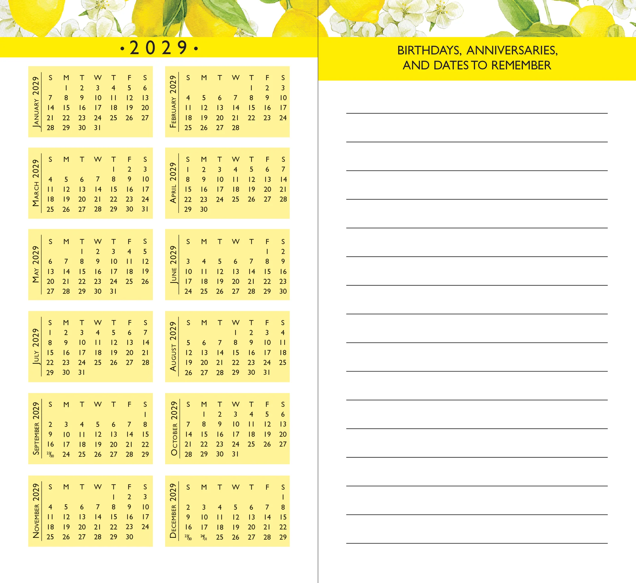 2027-28 Amalfi Lemons 2-Year Pocket Planner - Image 5