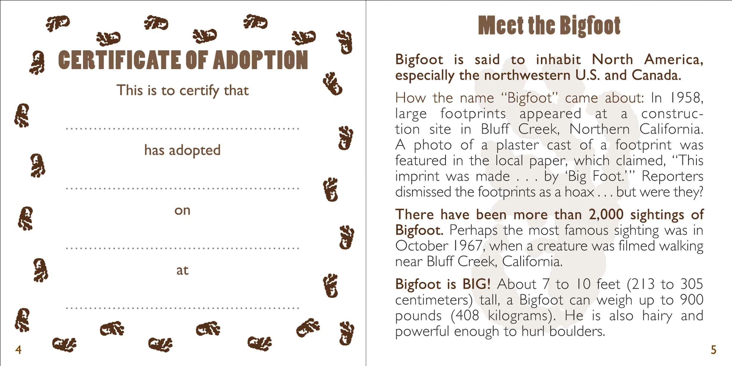 Bigfoot Rescue Kit - Image 5