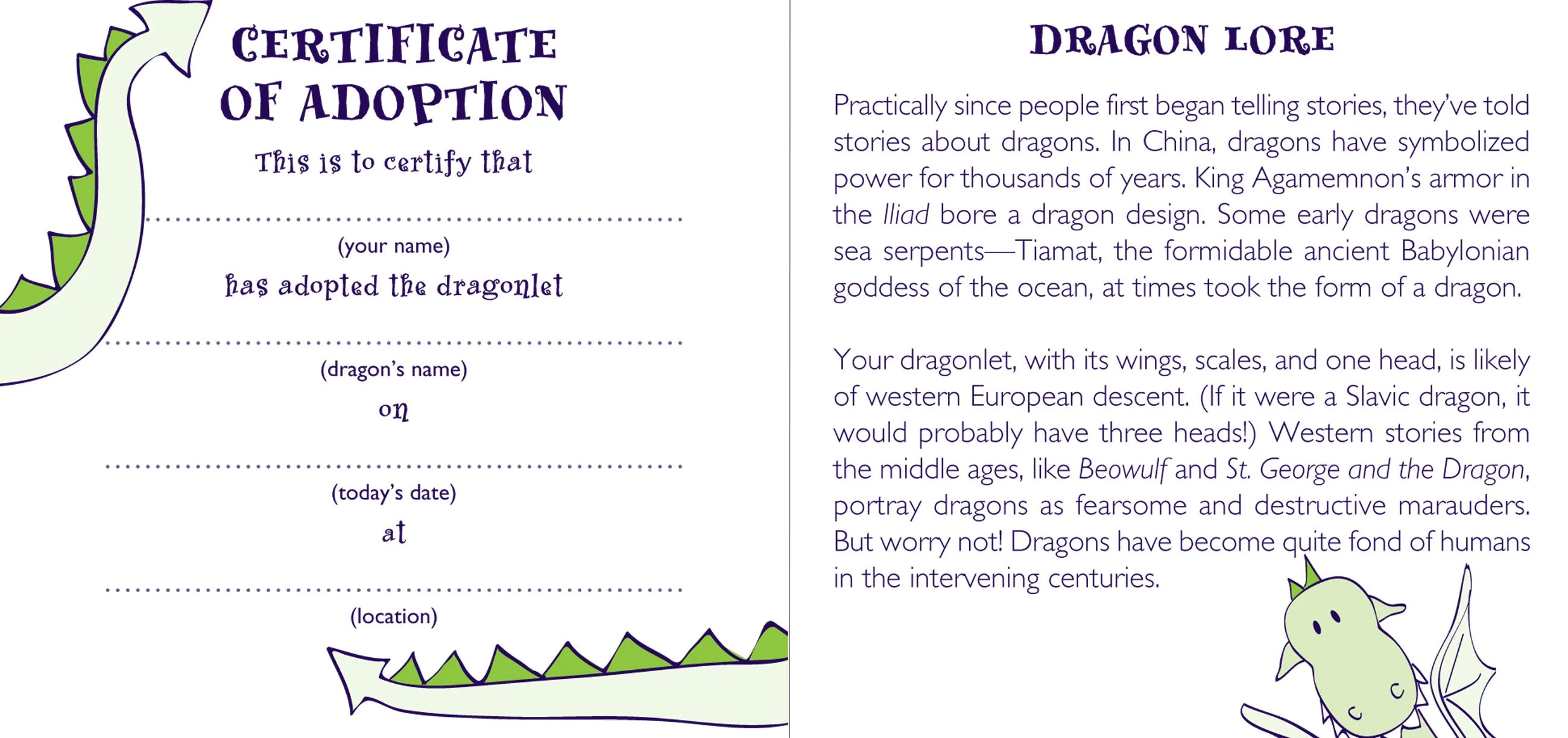 Dragon Rescue Kit - Image 4