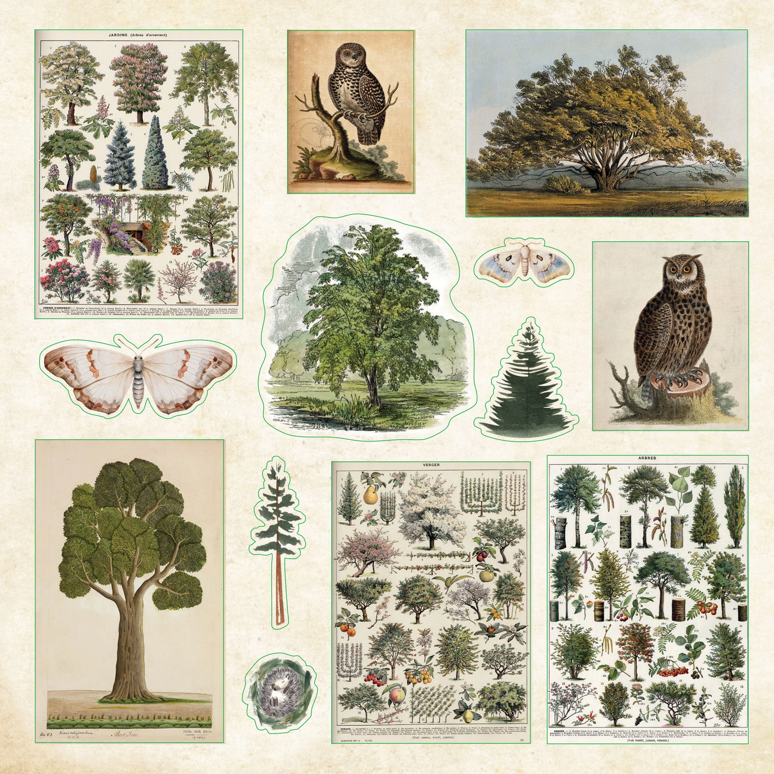 Enchanted Forest Sticker Book - Image 4